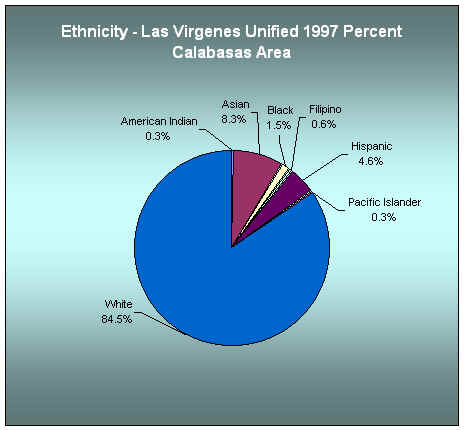 Ethnicity in the School District - Las Virgines