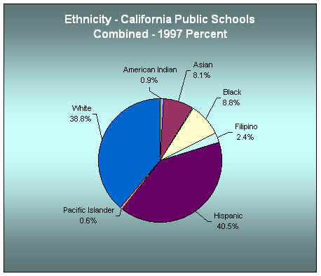 Ethnicity in the School District - California