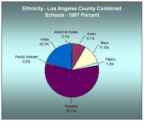 Ethnicity in the School District - LA County